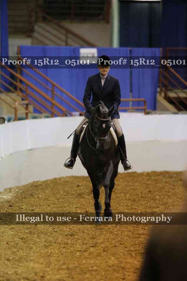 Proof 15R12_05101