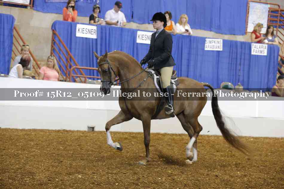 Proof 15R12_05109
