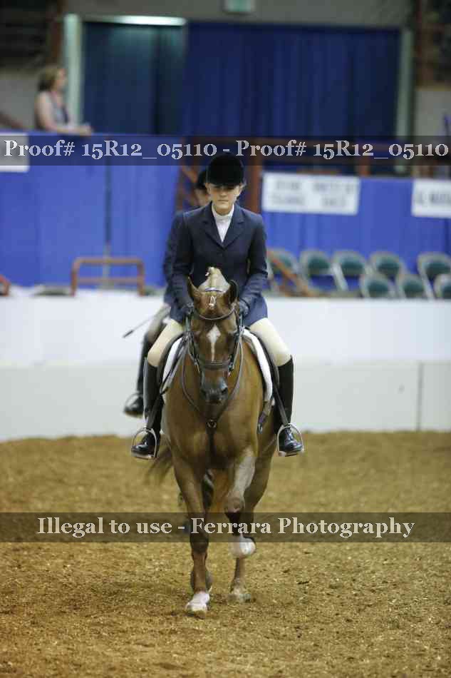 Proof 15R12_05110
