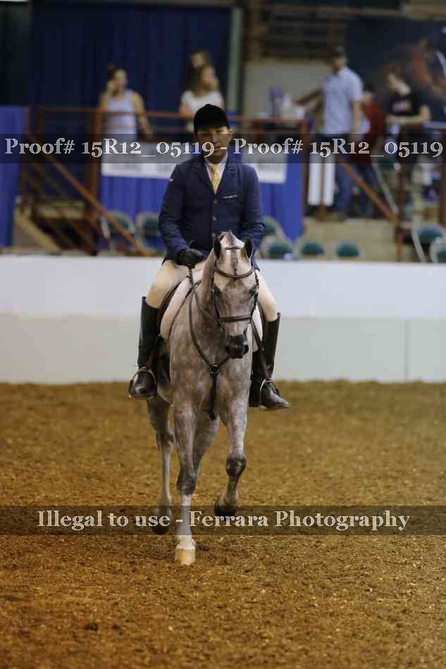 Proof 15R12_05119