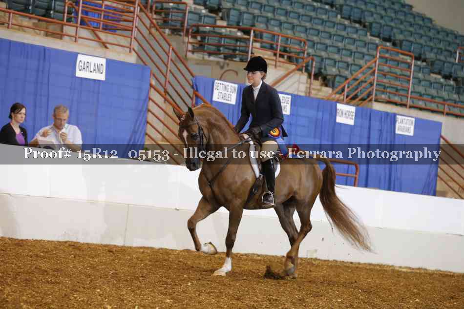 Proof 15R12_05153