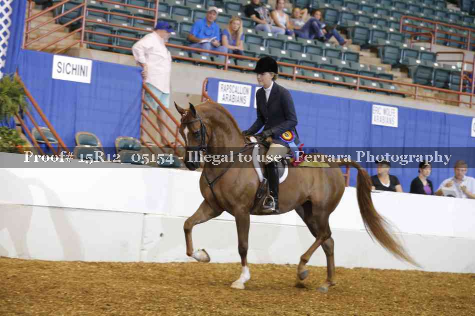 Proof 15R12_05154
