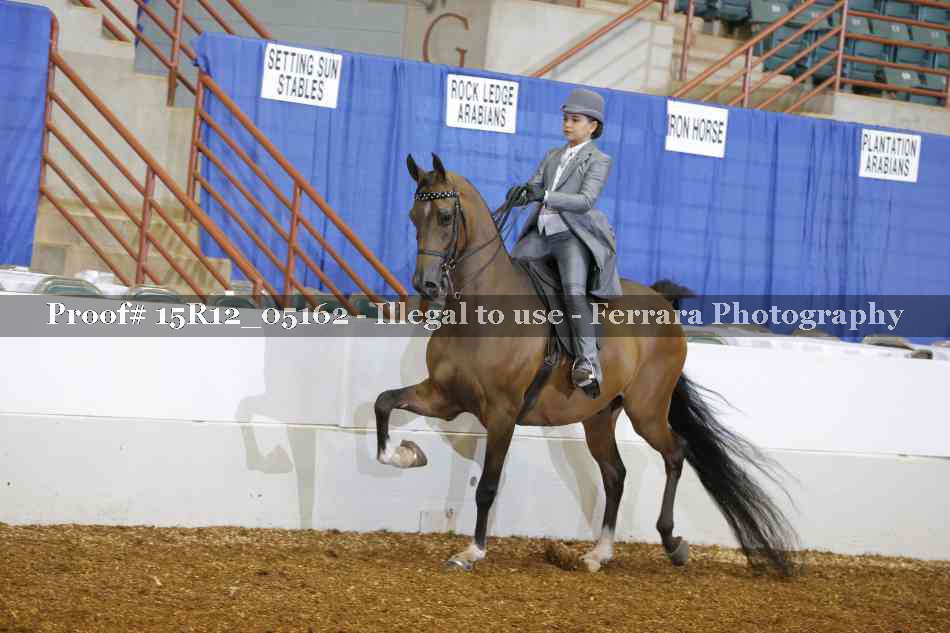 Proof 15R12_05162
