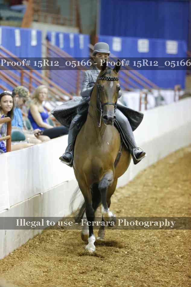 Proof 15R12_05166