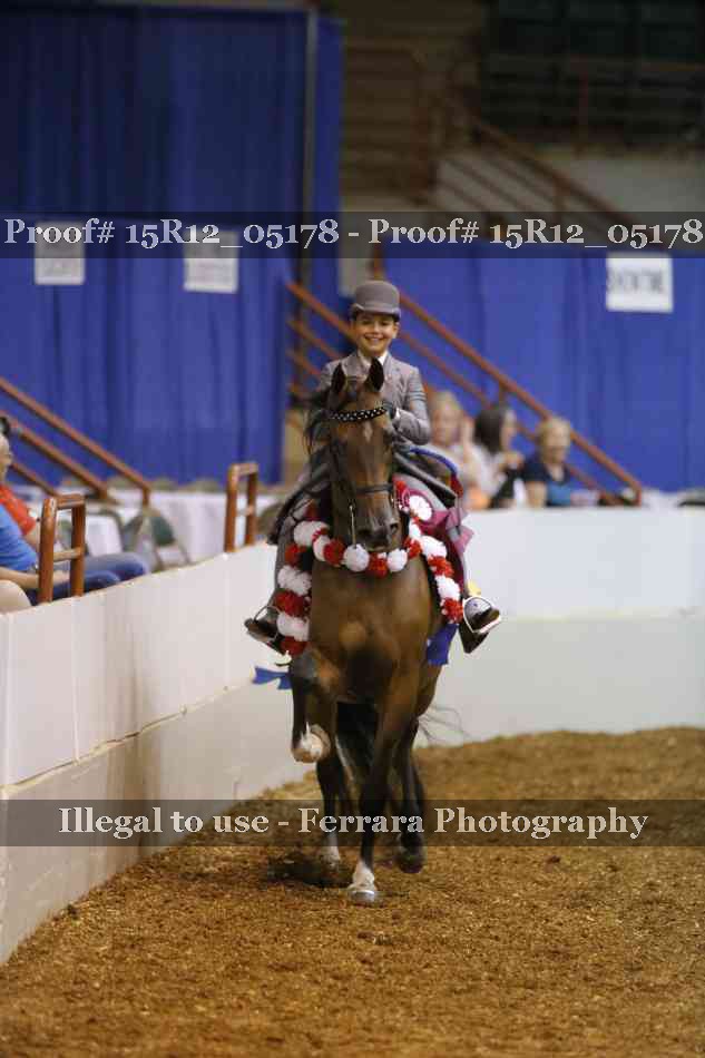 Proof 15R12_05178
