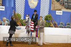 15R12_05201 proof