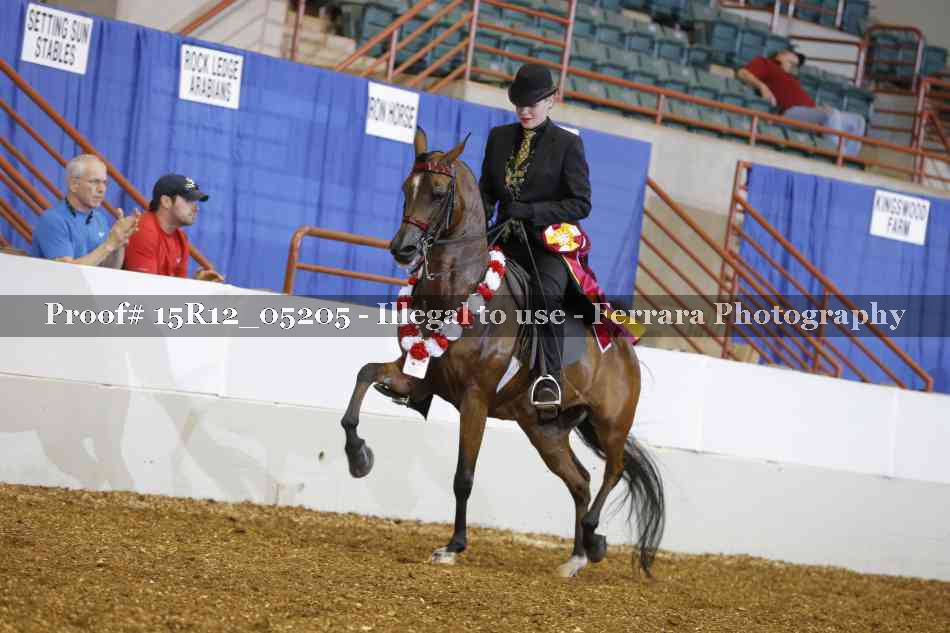 Proof 15R12_05205