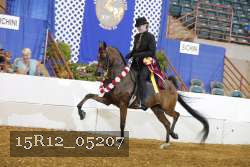 15R12_05207 proof