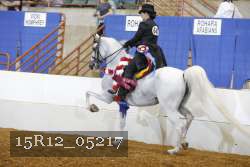 15R12_05217 proof