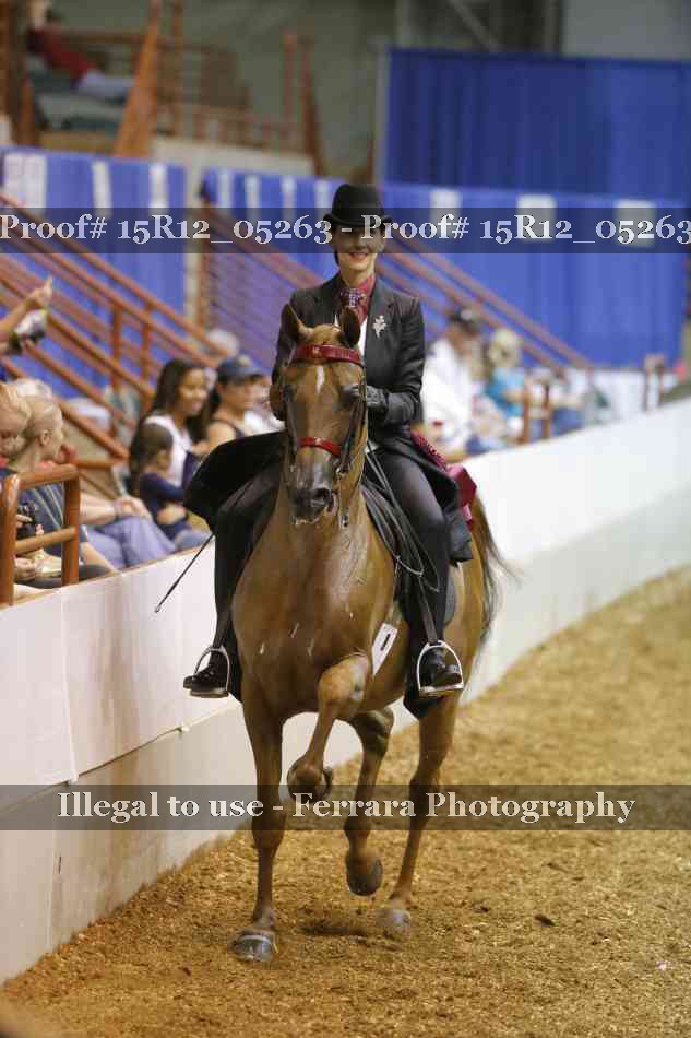 Proof 15R12_05263