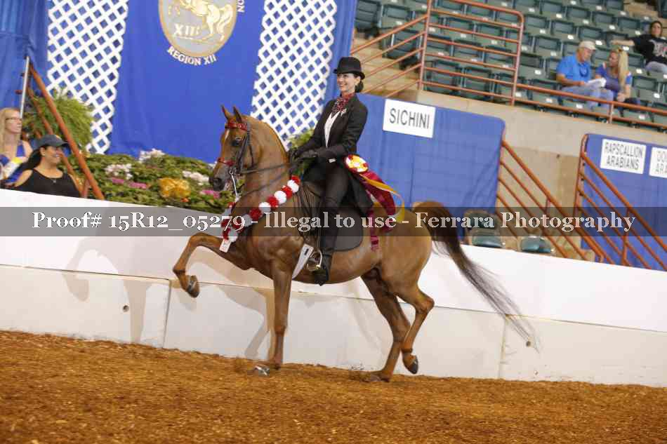 Proof 15R12_05279