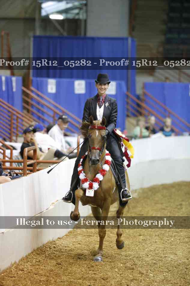 Proof 15R12_05282