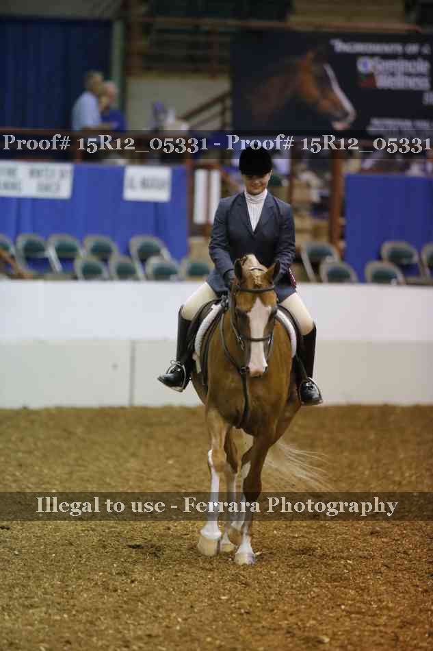 Proof 15R12_05331