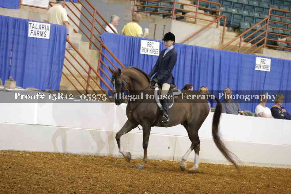 Proof 15R12_05375
