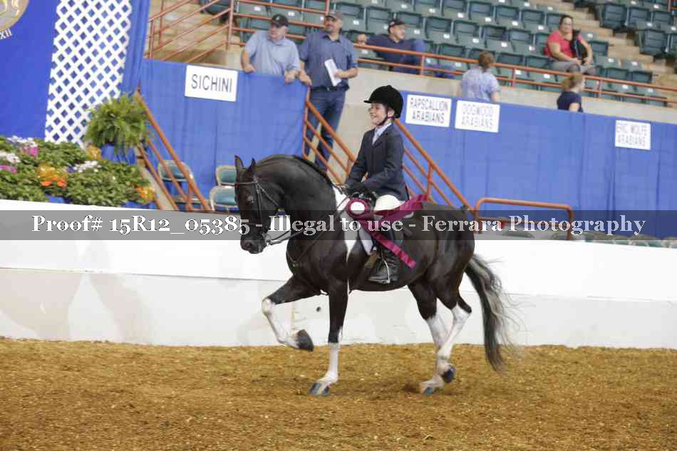 Proof 15R12_05385