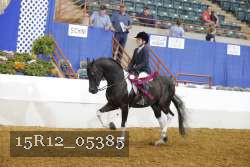 15R12_05385 proof