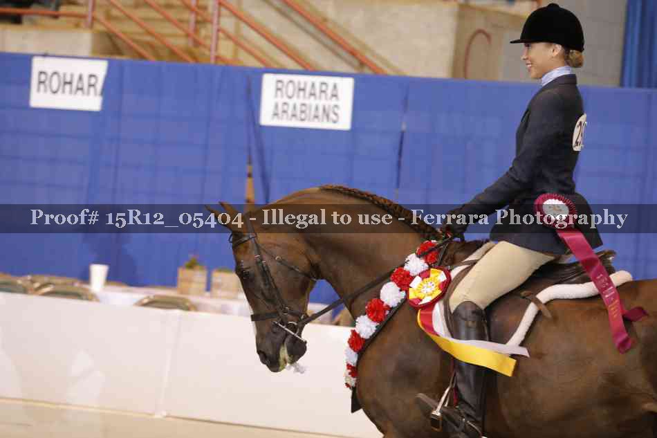 Proof 15R12_05404