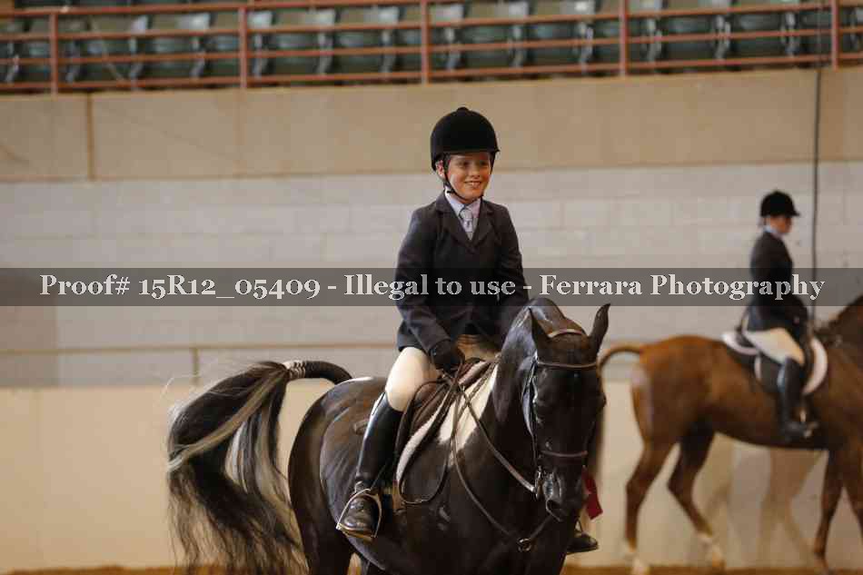 Proof 15R12_05409