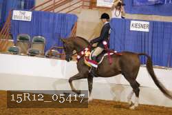 15R12_05417 proof