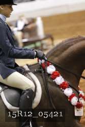 15R12_05421 proof