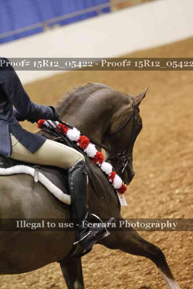 Proof 15R12_05422