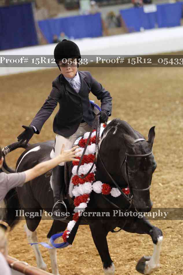 Proof 15R12_05433