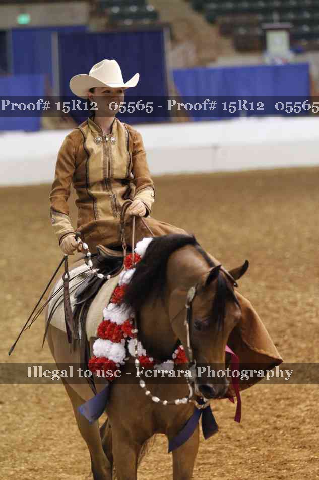 Proof 15R12_05565