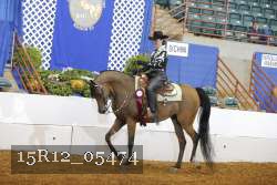 15R12_05474 proof