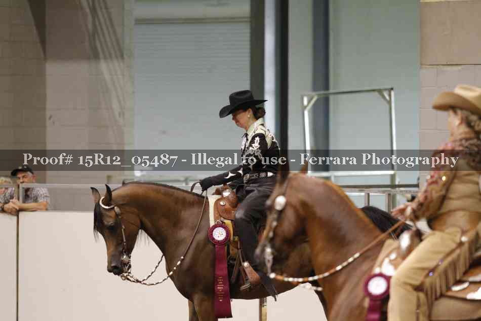 Proof 15R12_05487