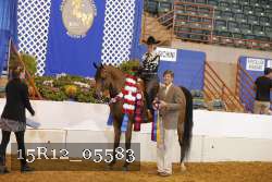 15R12_05583 proof