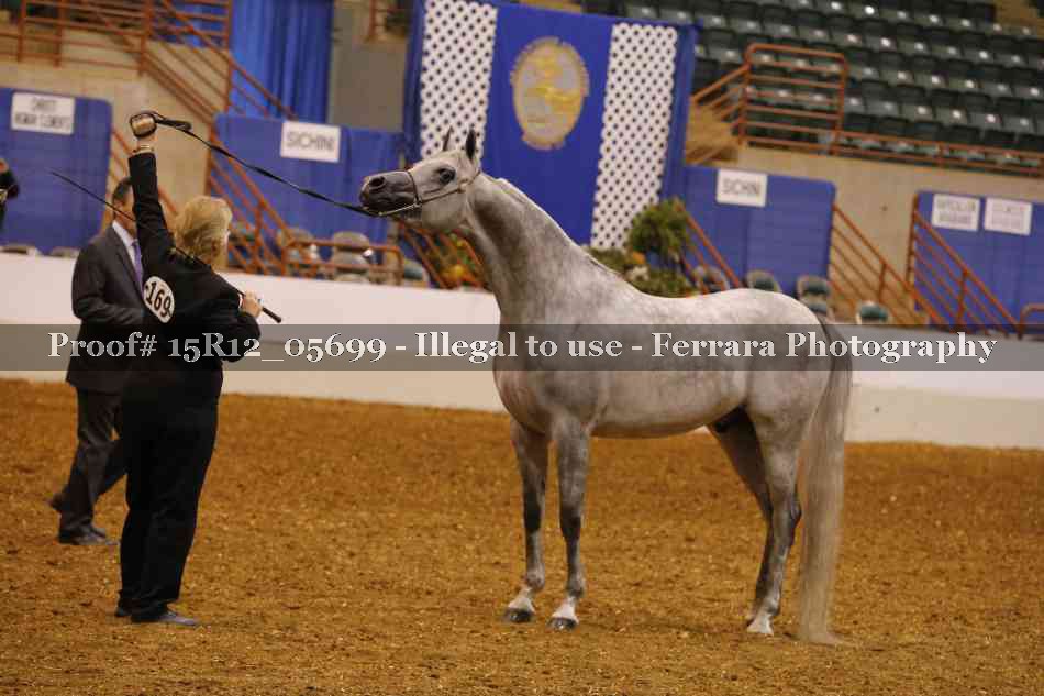 Proof 15R12_05699