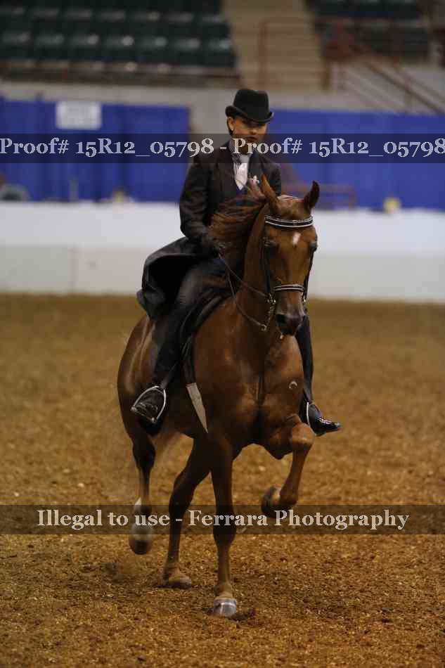 Proof 15R12_05798