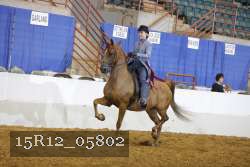15R12_05802 proof