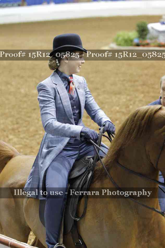 Proof 15R12_05825