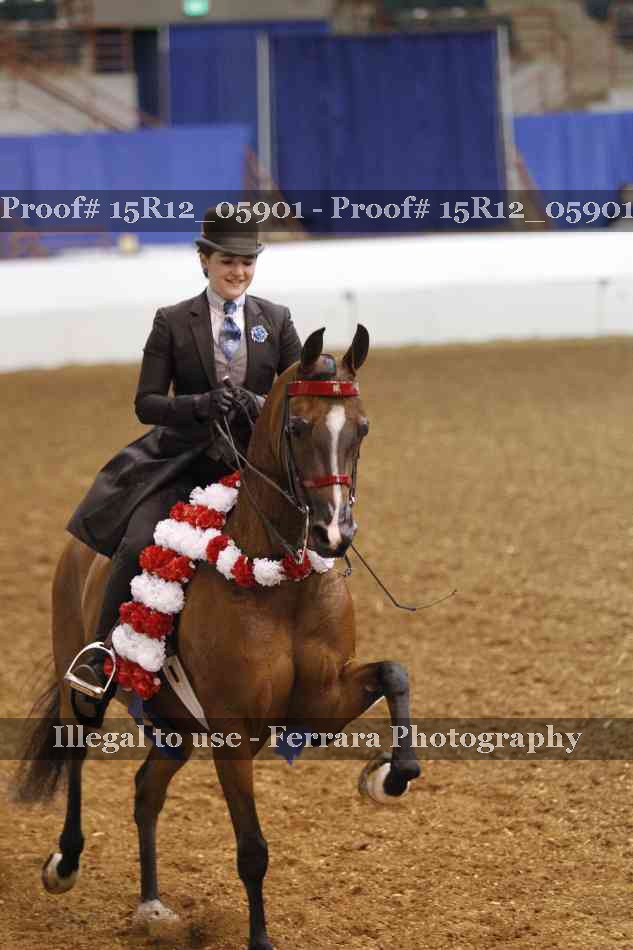 Proof 15R12_05901