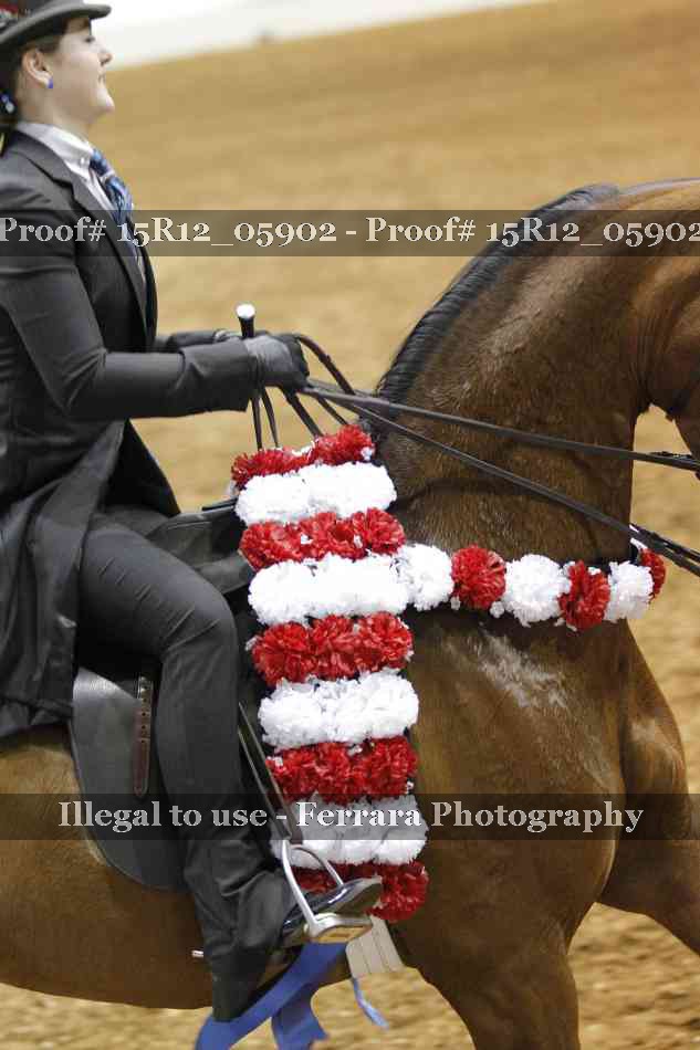 Proof 15R12_05902