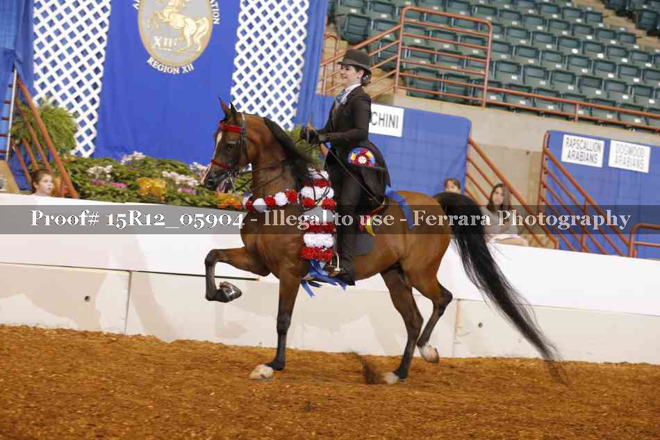 Proof 15R12_05904