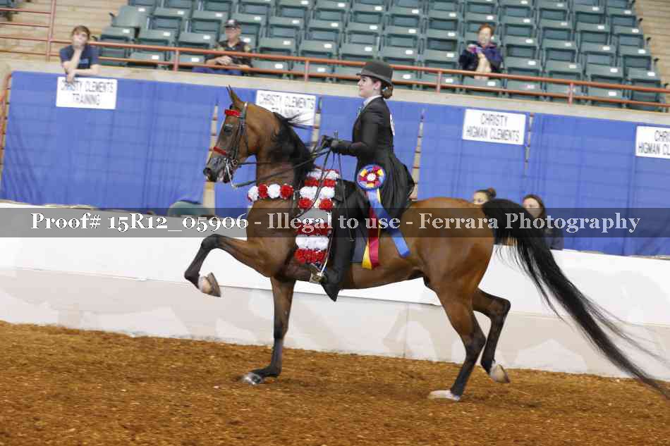 Proof 15R12_05906