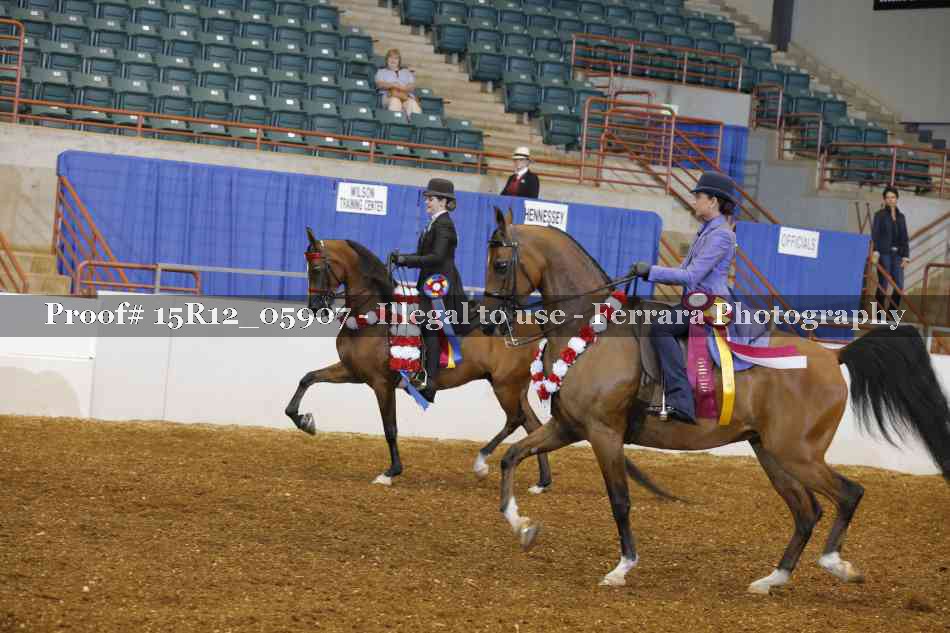 Proof 15R12_05907