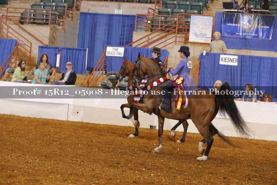 Proof 15R12_05908