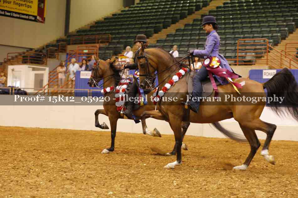 Proof 15R12_05920