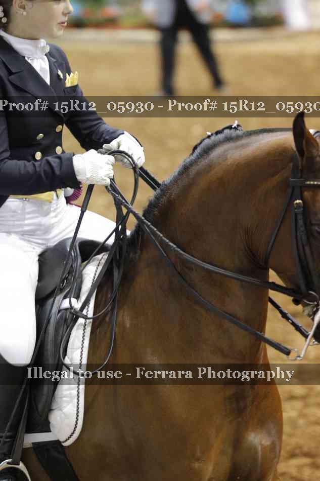 Proof 15R12_05930