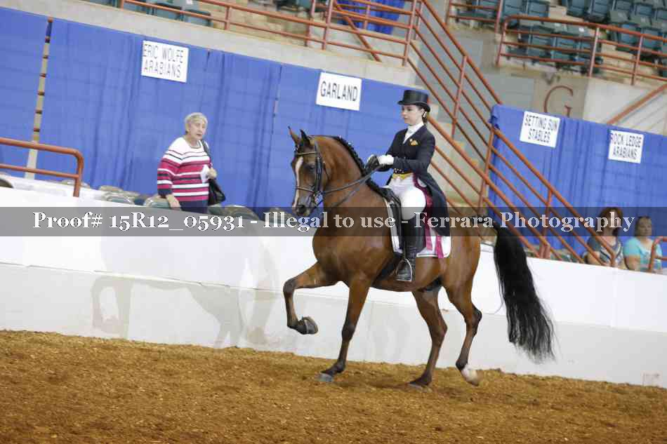 Proof 15R12_05931