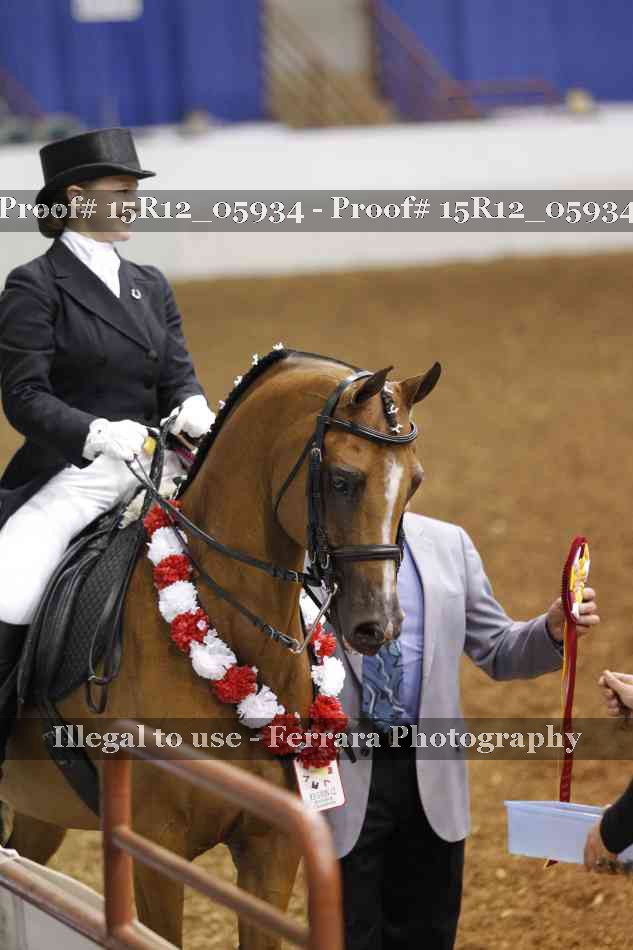 Proof 15R12_05934
