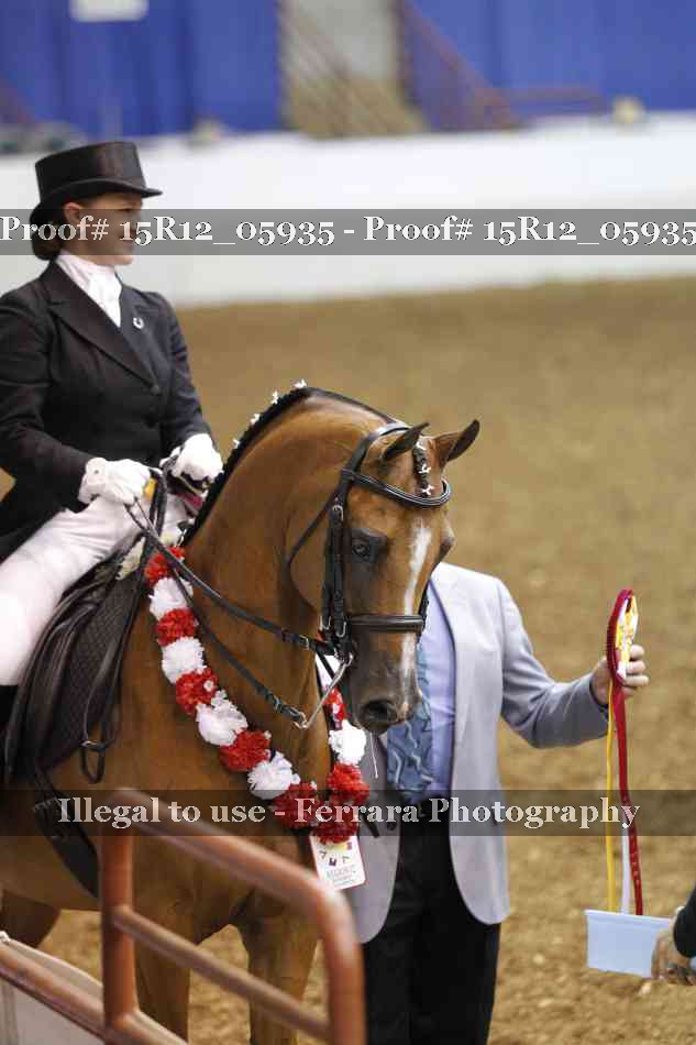 Proof 15R12_05935