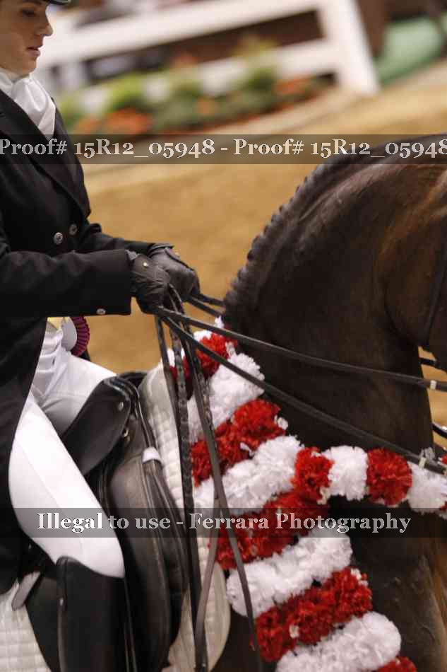 Proof 15R12_05948