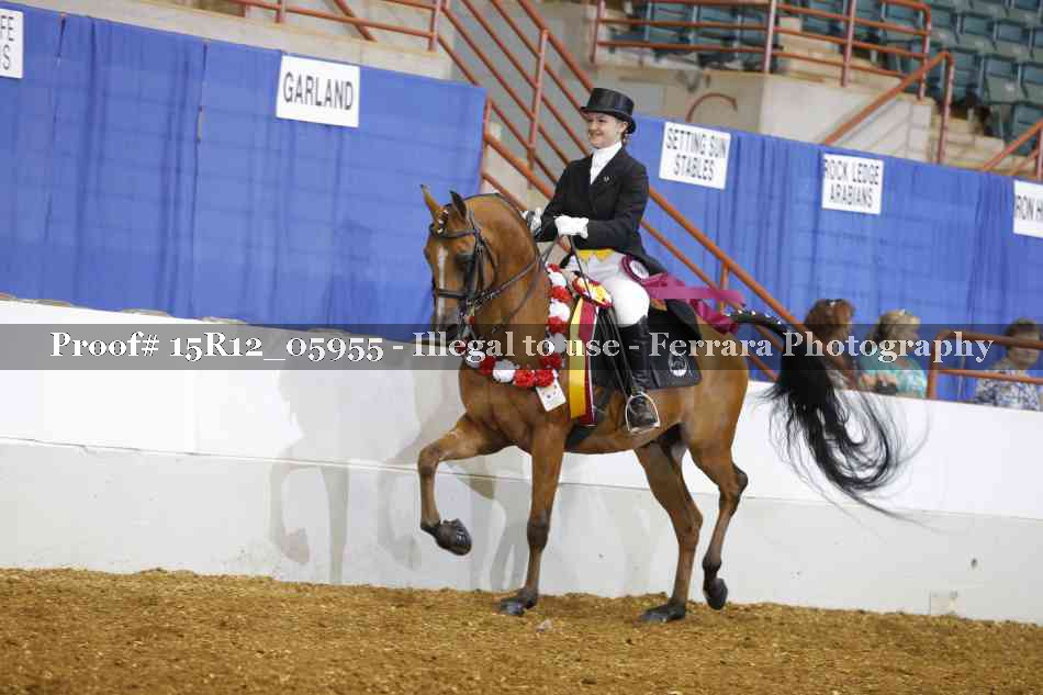 Proof 15R12_05955