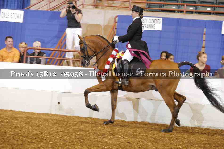 Proof 15R12_05958