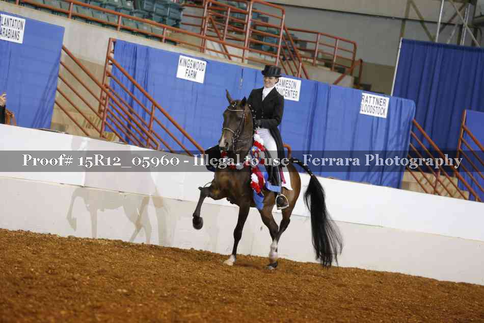Proof 15R12_05960