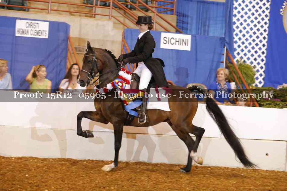 Proof 15R12_05965